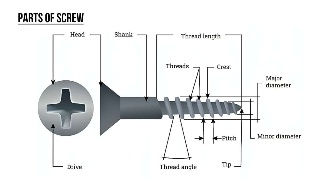 Parts of Screw