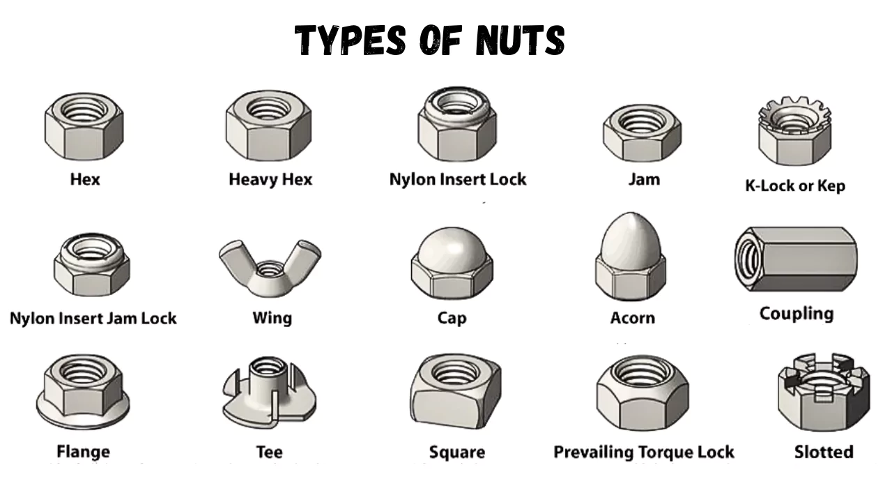 Types of Nuts